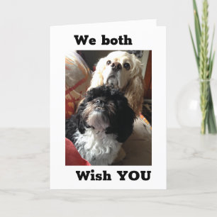 "70th" BIRTHDAY WISHES FROM BOTH OF US DOGS Card