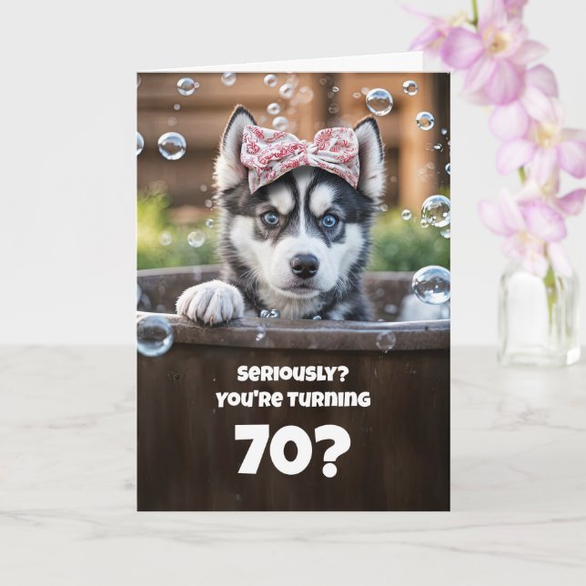 70th Happy Birthday Cute Funny Husky Puppy Dog Spa Card (Orchid)