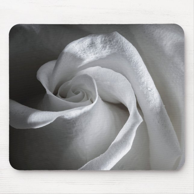7181-White Rose with Dew Mouse Pad (Front)