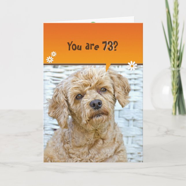 73rd birthday brown poodle on wicker card (Front)