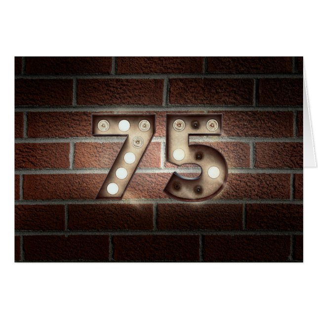 75th birthday-marquee light sign on brick (Front Horizontal)