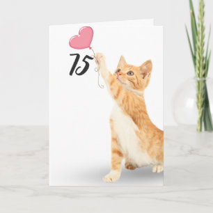 75th birthday tabby cat card