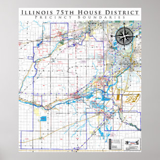 75th Illinois House District - Detailed Line Map Poster