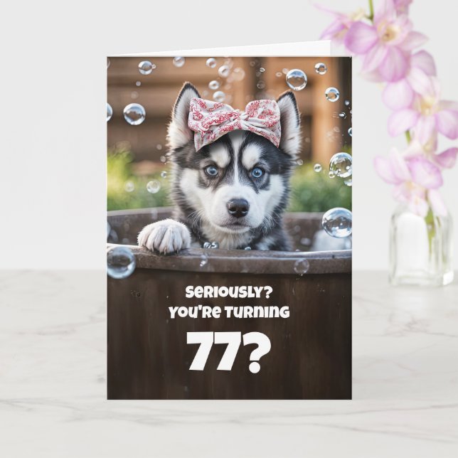 77th Cute and Funny Happy Birthday Husky Card (Orchid)