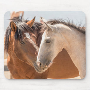 7911-Two Wild Mustangs Mouse Pad