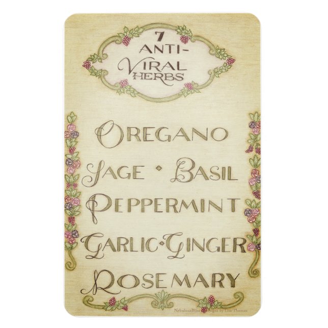 7 Anti-Viral Herbs 4" x 6" Magnet (Vertical)