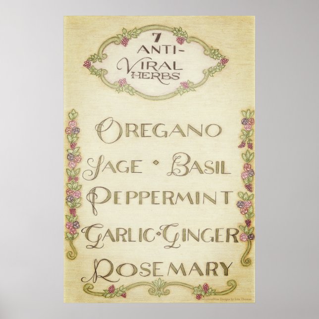 7 Anti-Viral Herbs Poster (Vintage)  (Front)
