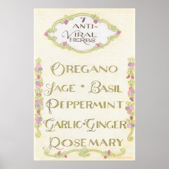 7 Anti-Viral Herbs Wall Art (Front)
