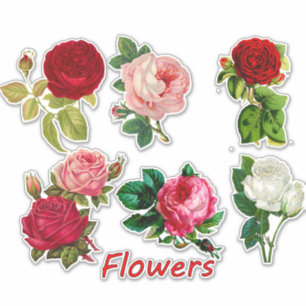 7 Beautiful Roses for Scrapbooking