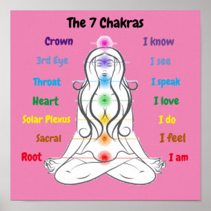 7 Chakras 12x12" Poster