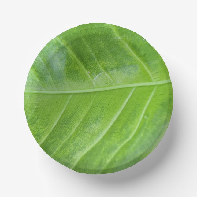 7-Inch Paper Bowl with Enchanting Green Leaf Paper Plate (Front)