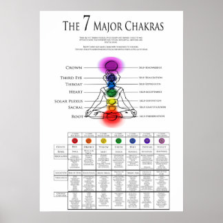 7 Major Chakra's Poster