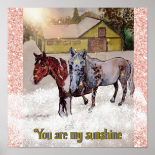 7 & Nokomis you are my sunshine Poster