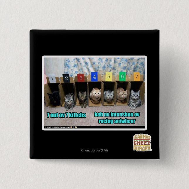 7 out ov 7 kittehs 15 cm square badge (Front)