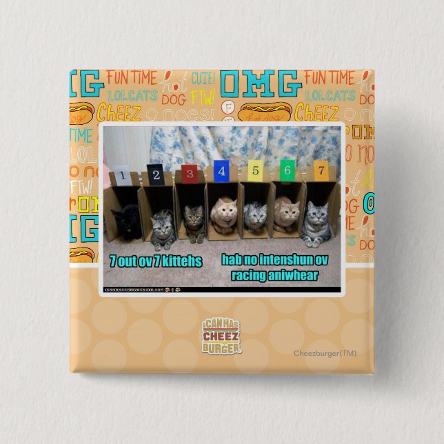7 out ov 7 kittehs 15 cm square badge (Front)