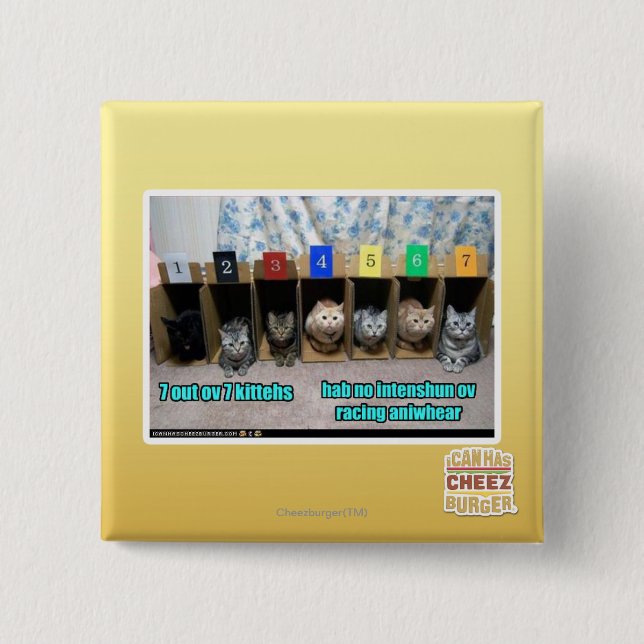 7 out ov 7 kittehs 15 cm square badge (Front)