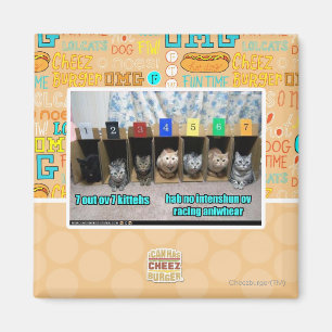 7 out ov 7 kittehs magnet