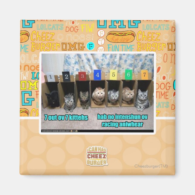 7 out ov 7 kittehs magnet (Front)