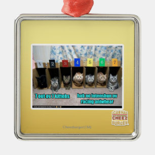 7 out ov 7 kittehs metal ornament