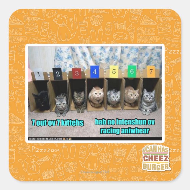 7 out ov 7 kittehs square sticker (Front)