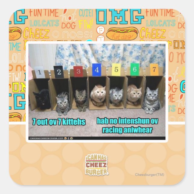 7 out ov 7 kittehs square sticker (Front)