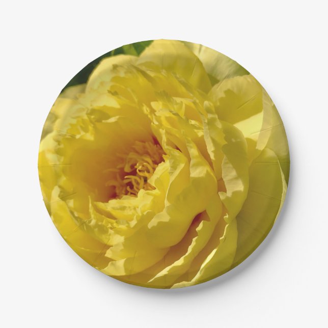 7" paper plates, Double Yellow Peony Paper Plate (Front)
