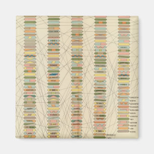 7 Rank, cities 17901890 Magnet