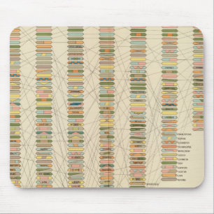 7 Rank, cities 17901890 Mouse Pad