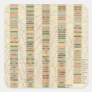7 Rank, cities 17901890 Square Sticker