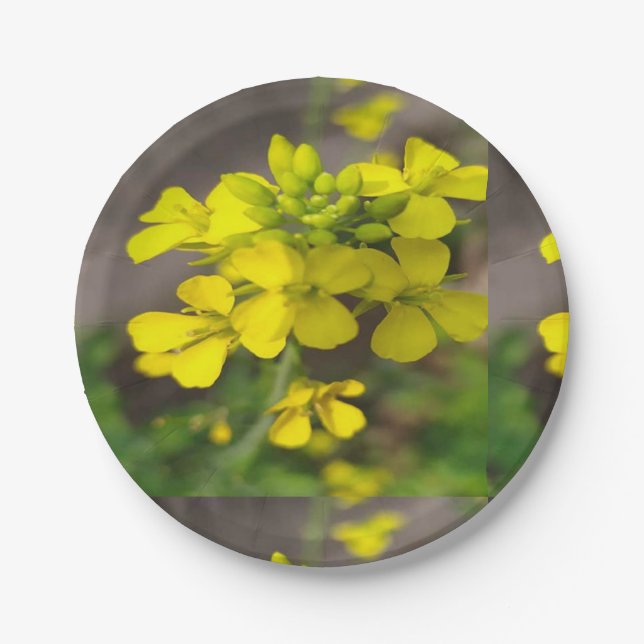  7" Round Paper Plate with a yellow flower (Front)
