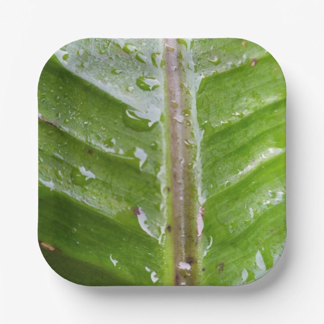 7" Square Paper Plate with Green Banana Leaf Water (Front)