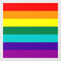7 Stripes Rainbow Pride