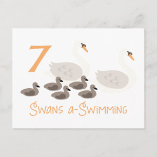 7 Swans a Swimming Postcard