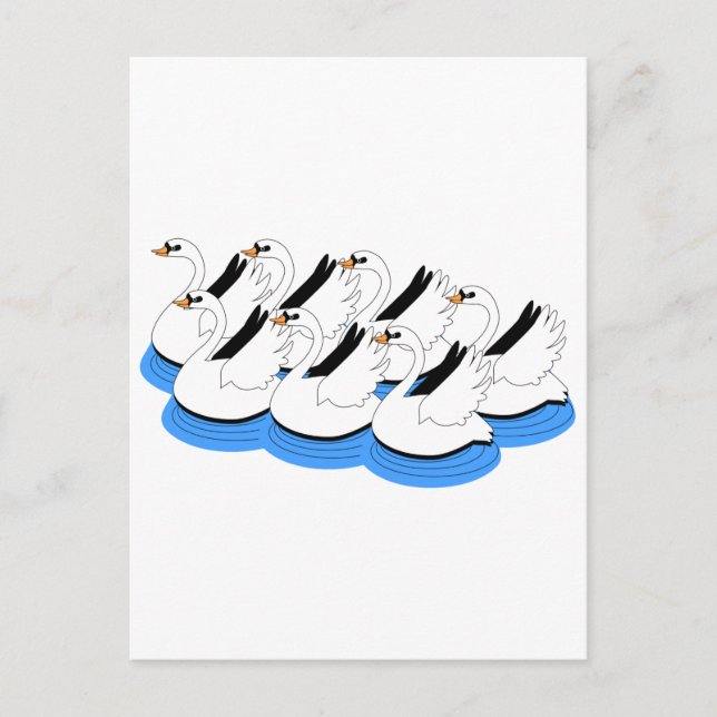 7 Swans Swimming Postcard (Front)