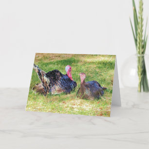 7"x5" Folded Card    Gobble Gobble