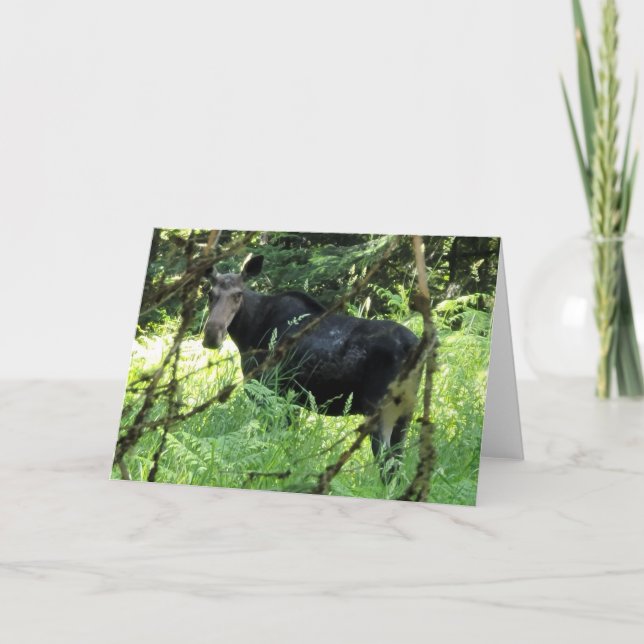 7"x5" Folded Card || Moose Lunch v5 (Front)