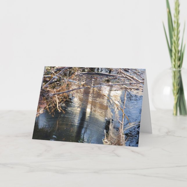 7"x5" Folded Card || Pond Pollen Scum (Front)