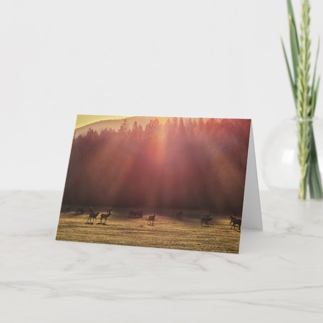 7"x5" Folded Card || Red Dawn Elk (Front)