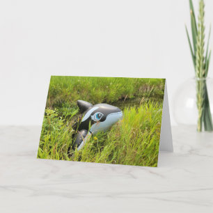 7"x5" Folded Card    Sage Creek Orca