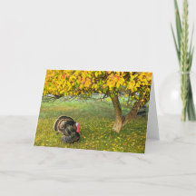 7"x5" Folded Card || Turkey Under the Tree