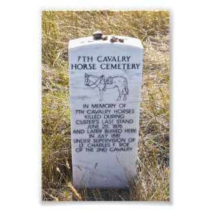7th Cavalry Horse Cemetery Memorial Photo Print