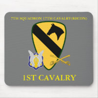 7TH SQUADRON 17TH CAVALRY(RECON) 1ST CAVALRY