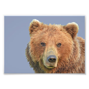 7x5 Kodak Professional Photo Paper (Satin) Print