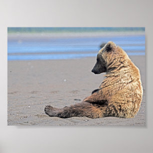 7x5 Poster Paper (Matte) of grizzly bear cub