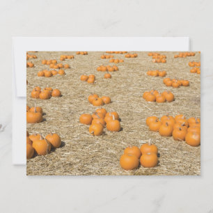 7x5 Thanksgiving Card