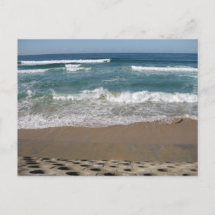 #8025 Beach Postcard
