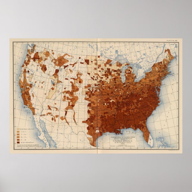 80 Proportion illiterates Negro voters Poster (Front)