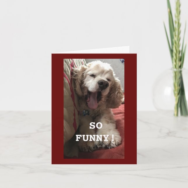 **80th BIRTHDAY WISH FROM COMEDIC SPANIEL** Card (Front)