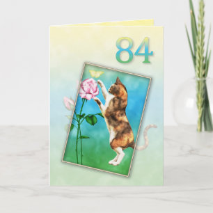 84th Birthday with a playful cat Card