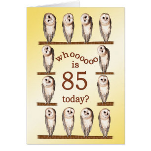 85th birthday, Curious owls card.